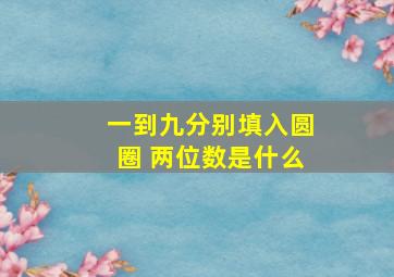 一到九分别填入圆圈 两位数是什么